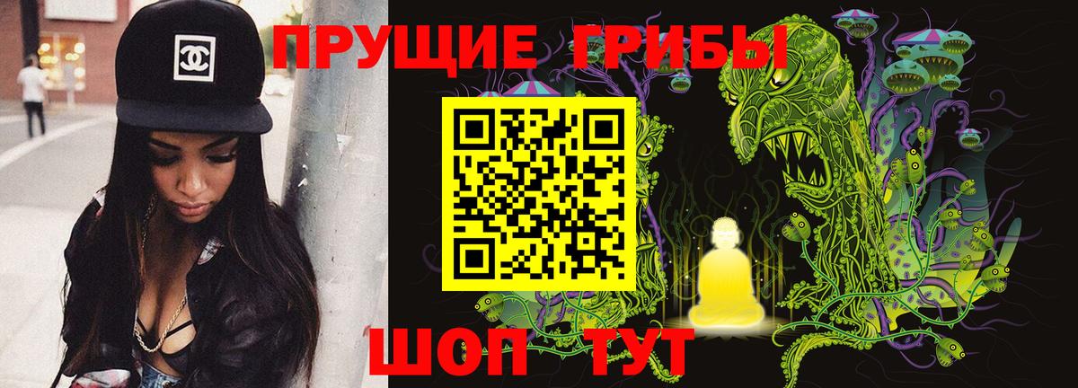 Псилоцибиновые грибы GOLDEN TEACHER  хочу наркоту  Ижевск  Вход с VPN  Псилоцибиновые грибы Magic Shrooms 