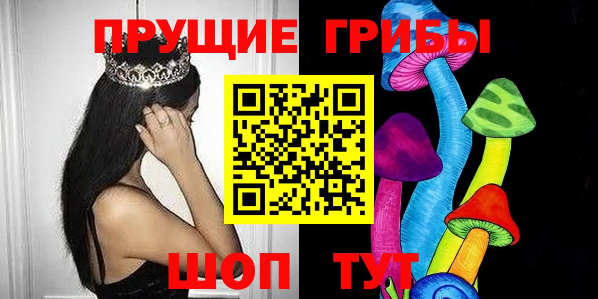 Галлюциногенные грибы Psilocybe Ижевск